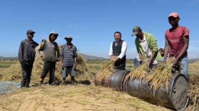“让中国脱贫经验在非洲‘开花结果’”——中国专家助推非洲农业现代化