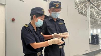 我国首次进口肯尼亚干海参产品