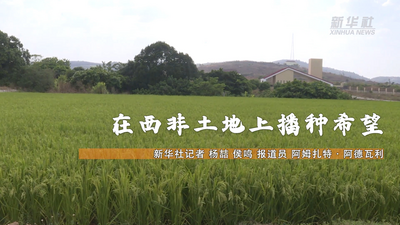 通讯｜在西非土地上播种希望