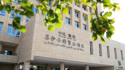 中埃“双港双区”联动发展促进会在埃及举办