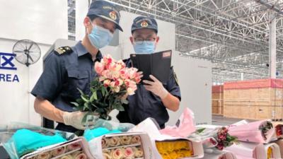 全国首例非洲鲜花转口贸易在长沙完成