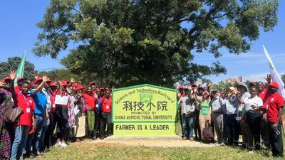 全球连线｜“中非科技小院”项目助力非洲农业发展