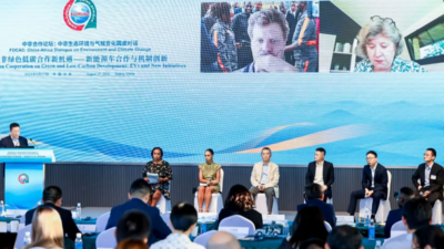 相向而行 中非新能源车合作前景可期