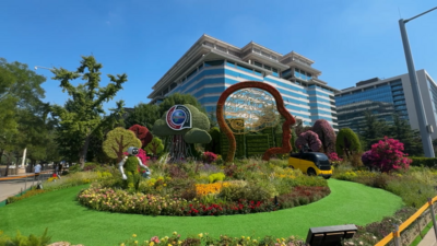 中非合作论坛丨北京街头花团锦簇迎盛会