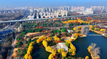 Winter colors in east China's Longtan park