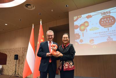 中国驻奥地利使馆举办“温暖迎春·共庆中国年”春节招待会