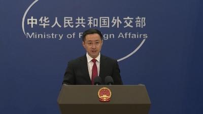外交部：中国年正在成为“世界年”