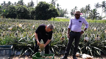 GLOBALink | Chinese agricultural expertise revolutionizes fruit production in Sri Lanka