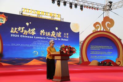 “以灯为媒·共话友谊”2025迪拜元宵灯会成功举办