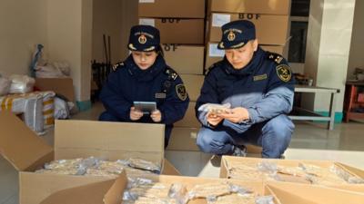 甘肃特优农产品出口之路渐宽 成为外贸增长新亮点