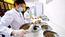 China establishes flagship hospital alliance to boost Chinese, Western medicine integration