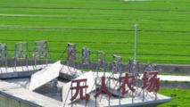 China's low-altitude economy boosts smart agriculture, rural development