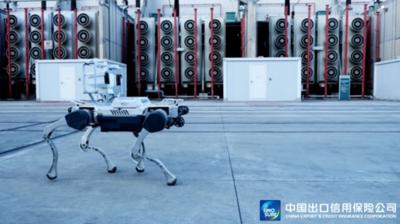 支持电子机械狗出口，中国信保浙江分公司落地首张国产机器人保单