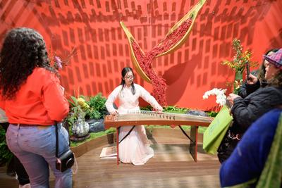 中国青岛扮靓第196届费城花展