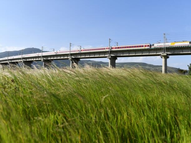 China to provide financial support to epidemic-affected high-quality projects, firms under B&R construction