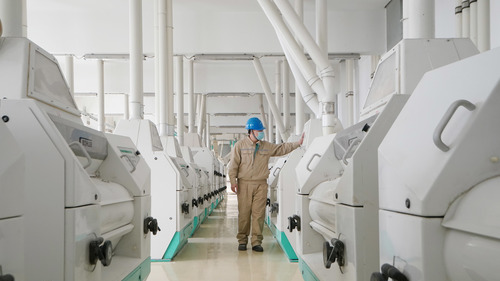 Over half of surveyed foreign firms in Shanghai resume production