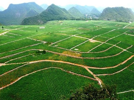 China's provincial-level governments enjoy more autonomy over land use