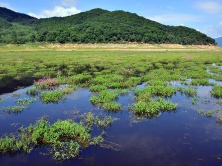 China to step up efforts in developing environmental protection industry