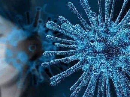 China's Jiangxi to send TCM experts to Uzbekistan to combat COVID-19