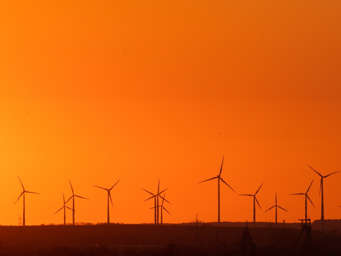 Berlin public utilities company builds wind farm  