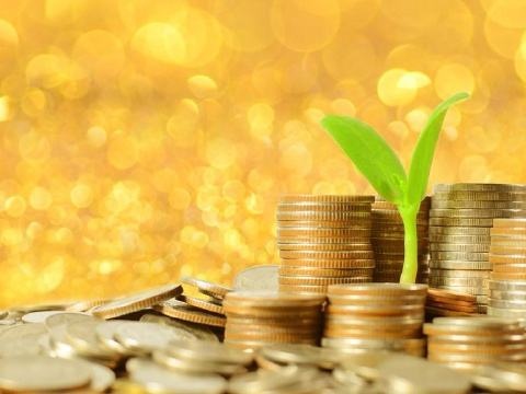 China helps more SMEs get tax credit loans