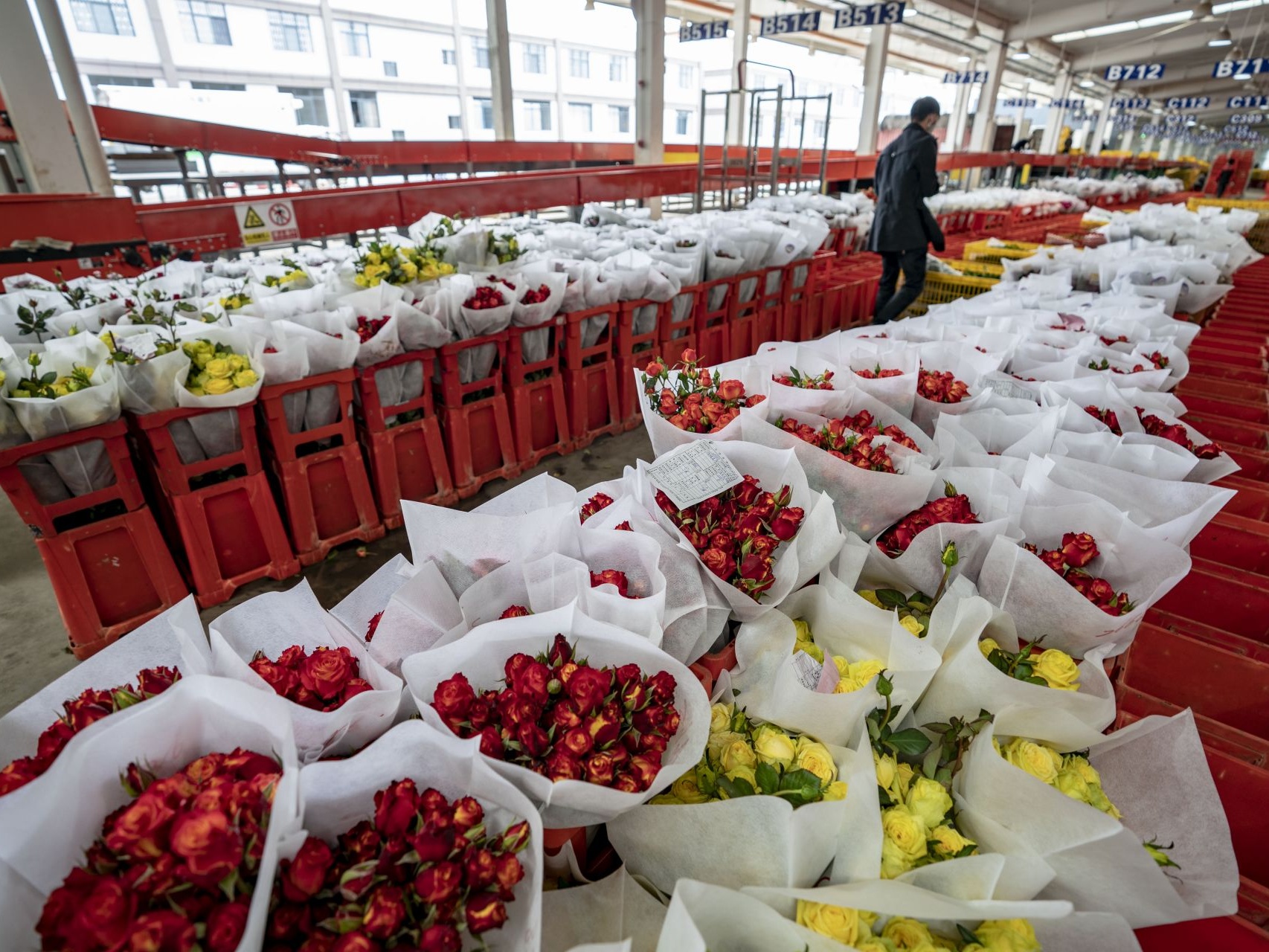 Auctioned transaction at Kunming flower market down 9.5 pct 