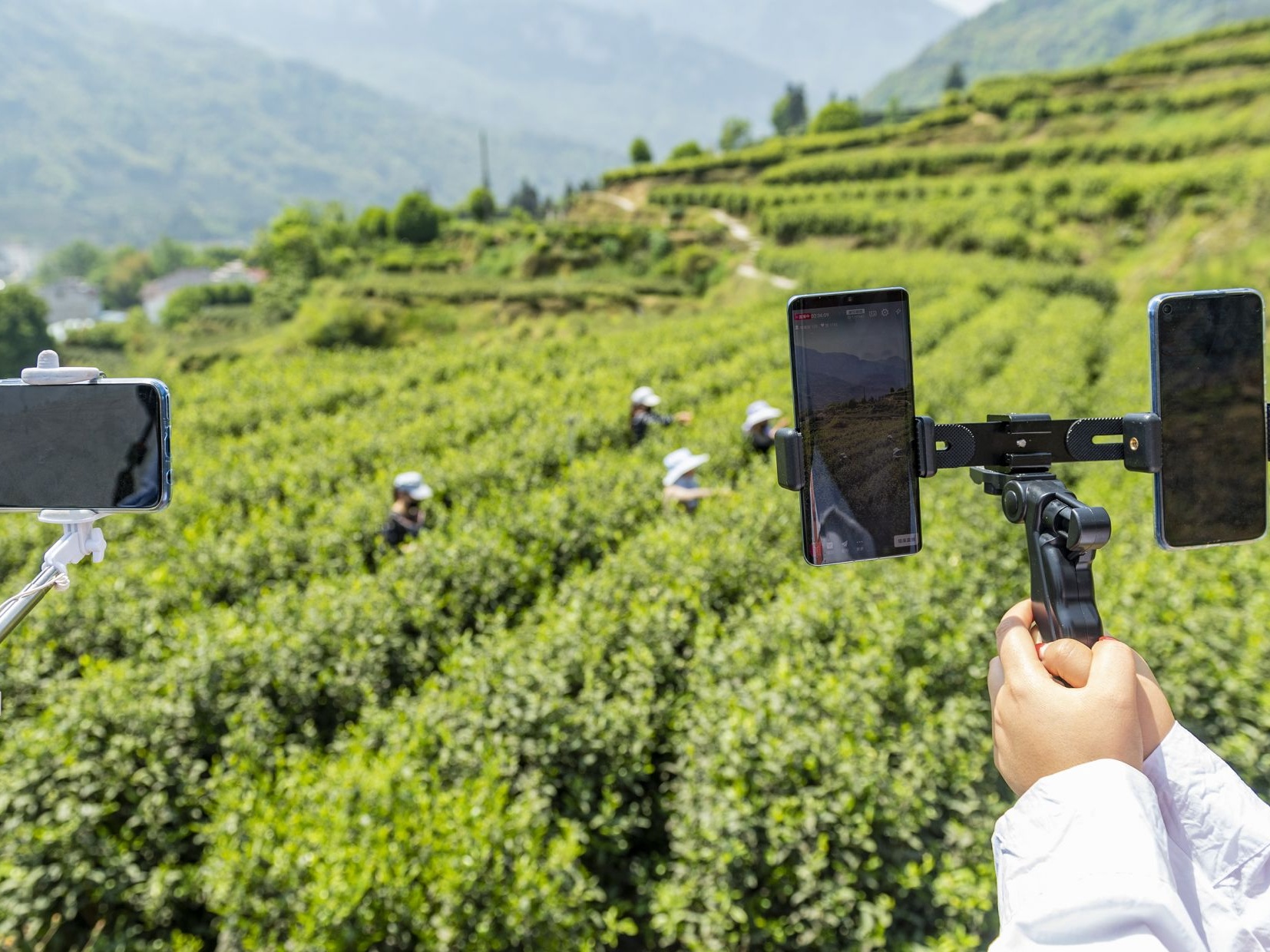 Across China: Small businesses look to livestreaming to ring up big sales 