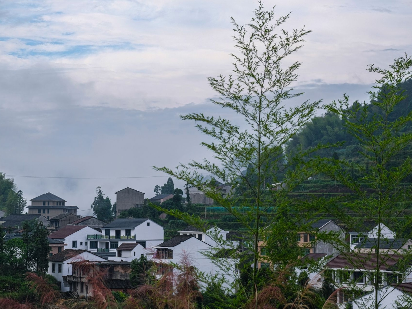 China considers new law on promoting rural vitalization 