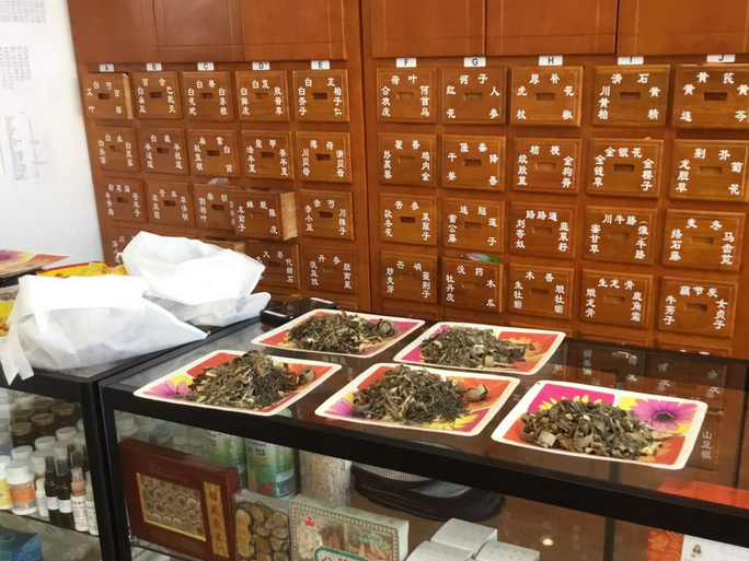China's Greater Bay Area to take lead in traditional medicines 
