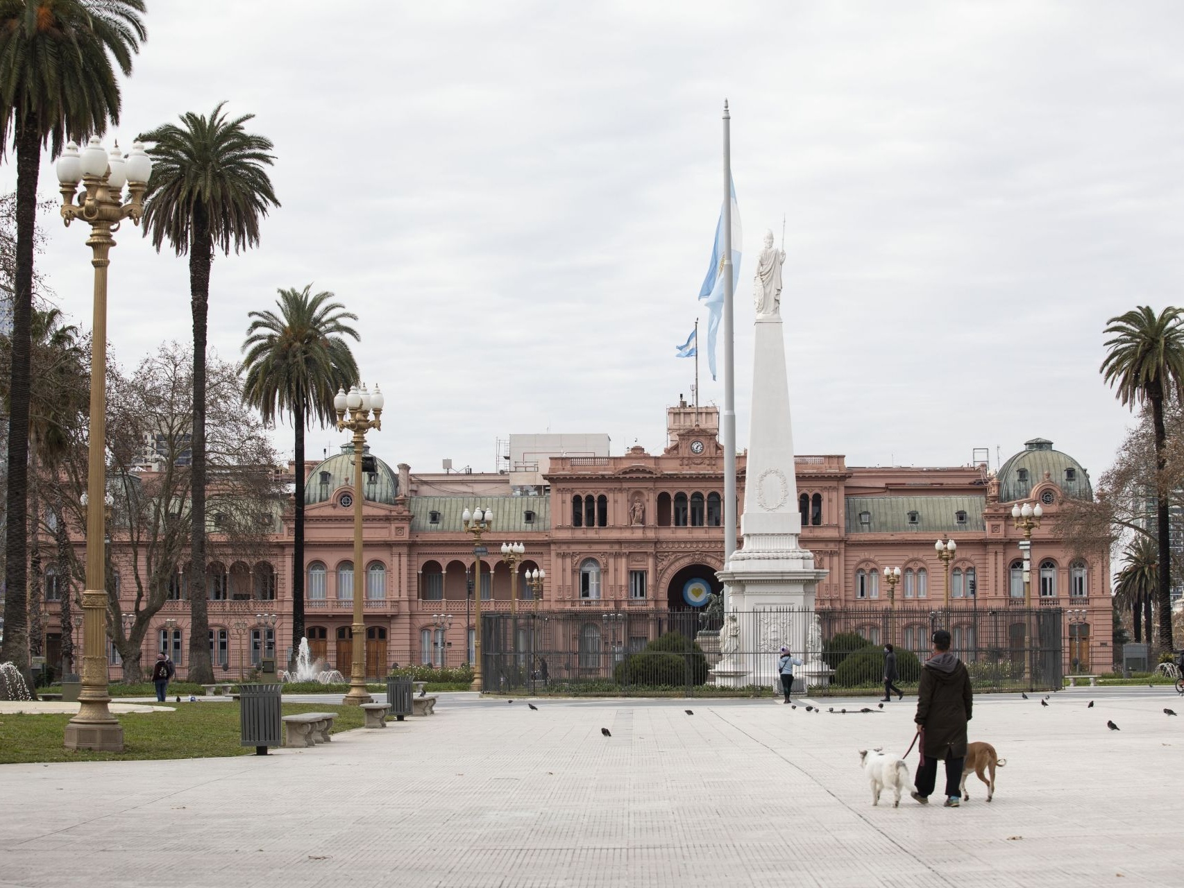 Interview: China's opening up bolsters Argentina's citrus industry, says industry insider 
