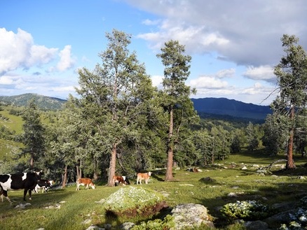 Xinjiang's first travel company debuts on A-share market 