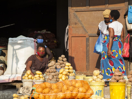 China-Zambia friendship solid: Zambian business association