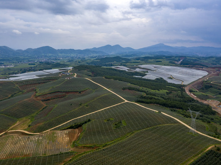 China's Yunnan sees bumper grain harvest