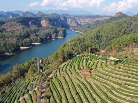 New Year holiday travel bookings reach peak in China: report