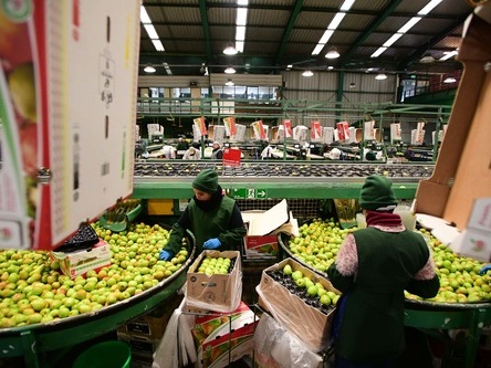 Interview: China a good LatAm trade partner and boost to regional production chains, says expert 