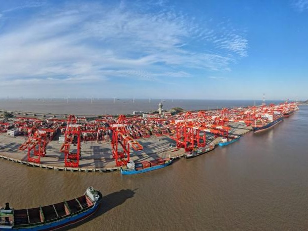 China Focus: Institutional innovations in pilot FTZs shift China's opening up into higher gear