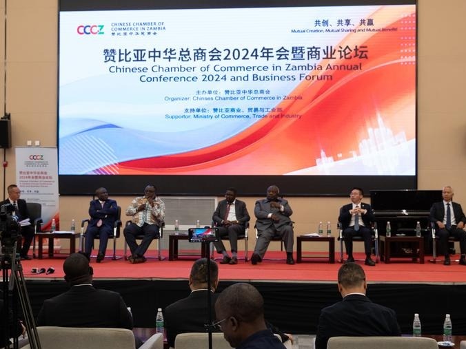 Chinese enterprises urged to contribute to Zambia's development