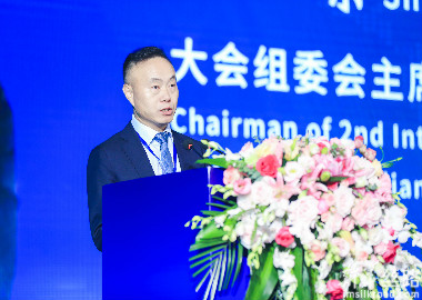 Shi Zhengrong, Chairman of the 2nd IGEDC Organizing Committee and Academician of the Australian Academy of Technological Sciences and Engineering