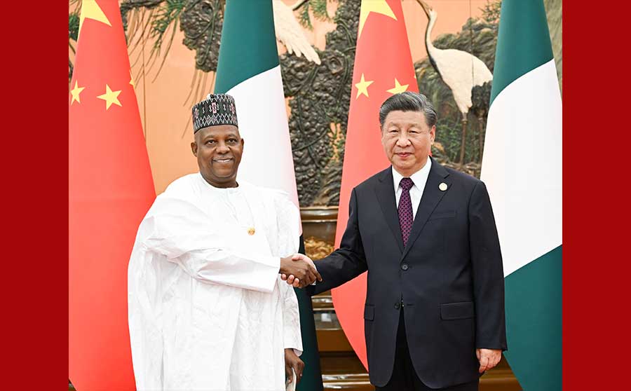 习近平会见尼日利亚副总统谢蒂马